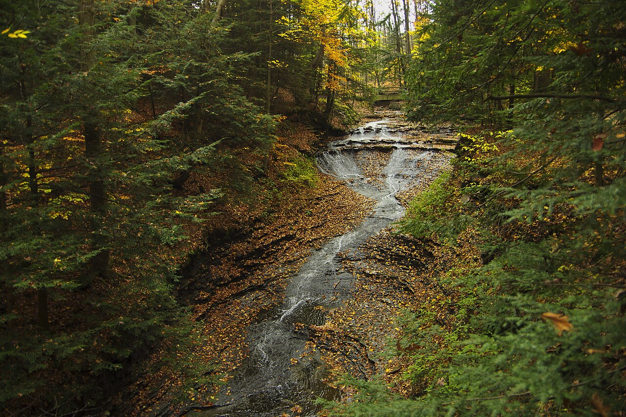 Parco nazionale della Cuyahoga Valley