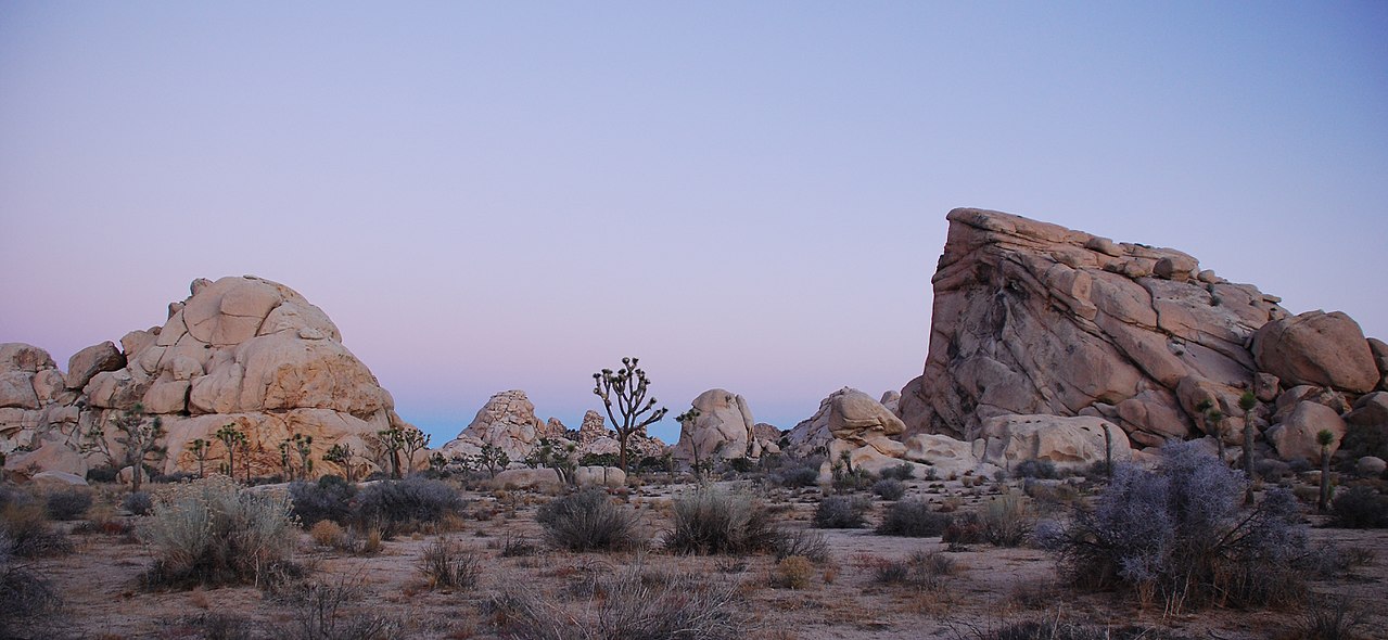Park Narodowy Joshua Tree