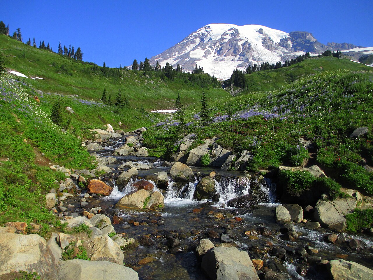 Parco nazionale del Monte Rainier