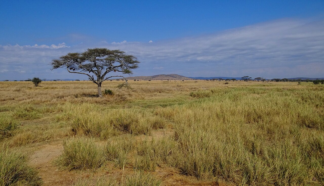 Parque nacional Serengueti
